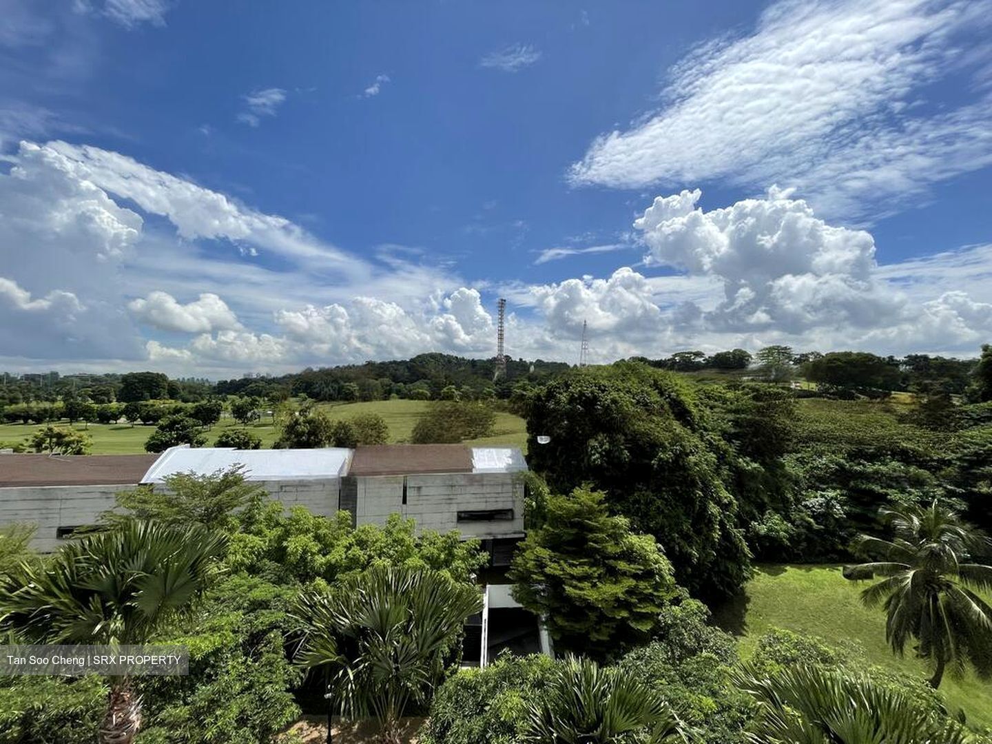Turquoise (D4), Condominium #474994691